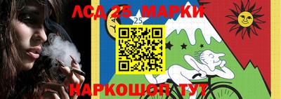твердый Гусев