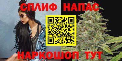 гашик Татарск
