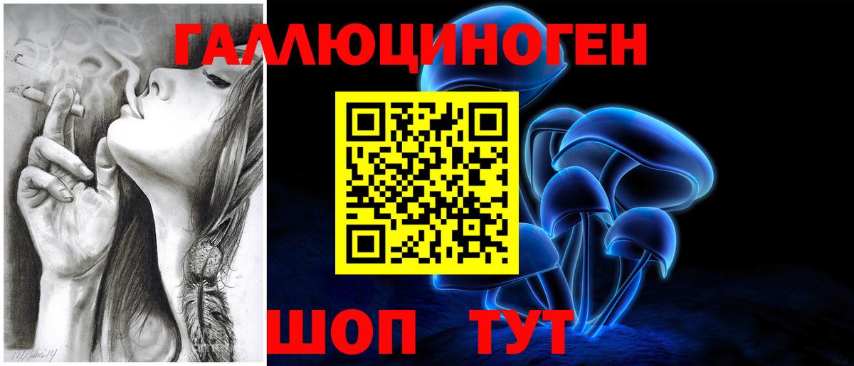 Псилоцибиновые грибы мицелий Моздок